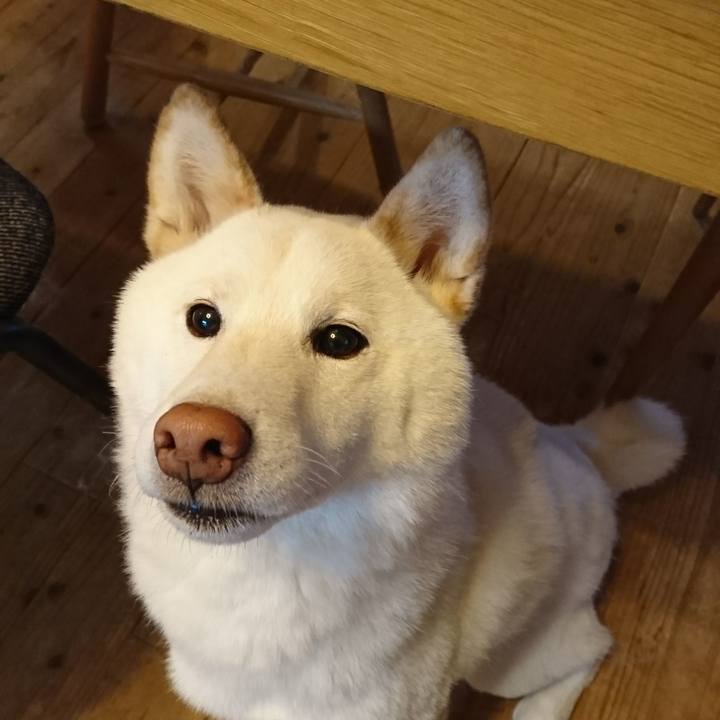 0b58374b af66 42aa 8c3f 7181ecee93ca 1548887789454