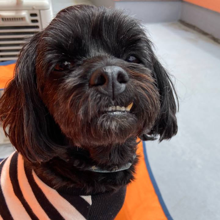 0b585408 c37d 4006 8381 d30a2f61ae32 1652611764763