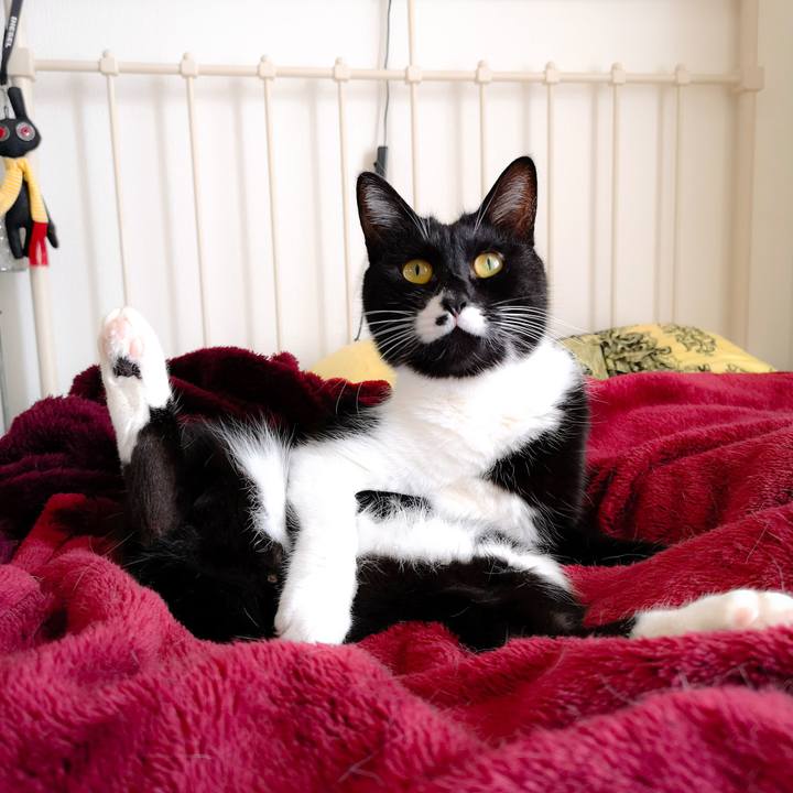 0b5865d6 b22c 47b3 ade3 f3222e6a1263 1555310841173