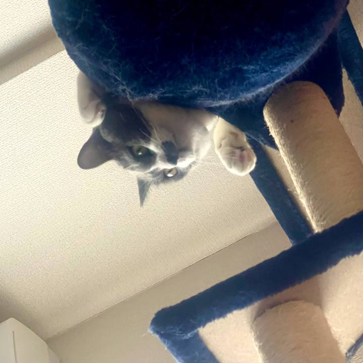 0b58800b 09ac 43f3 8153 4856794d2c22 1626417235829