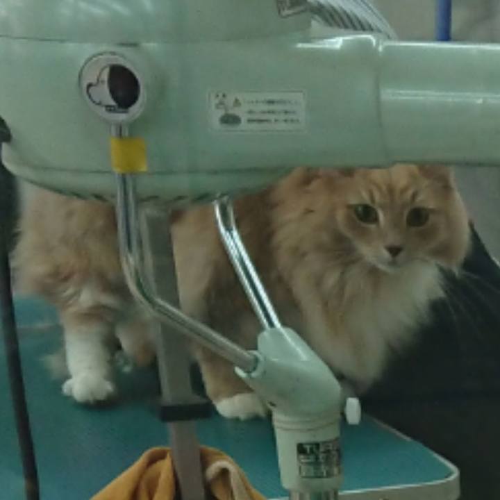 0b588c37 d147 4d89 8da6 5b7416d1666a 1579505903007