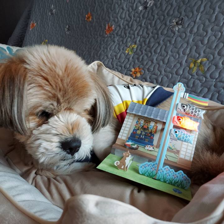 0b5899bf a142 4c5a 9454 3afa5997746d 1649143846961