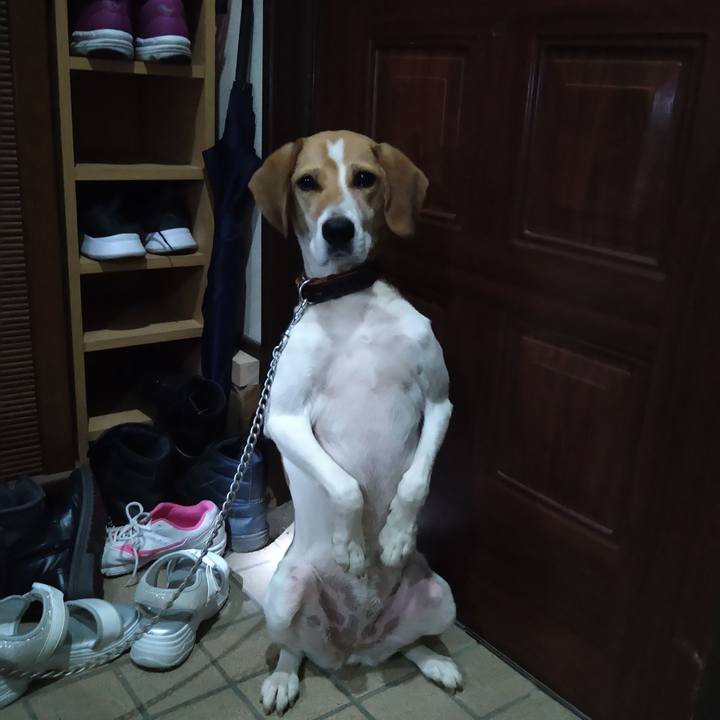 0b58c819 9b0a 4837 9b81 dc1e2bffe888 1625931107984