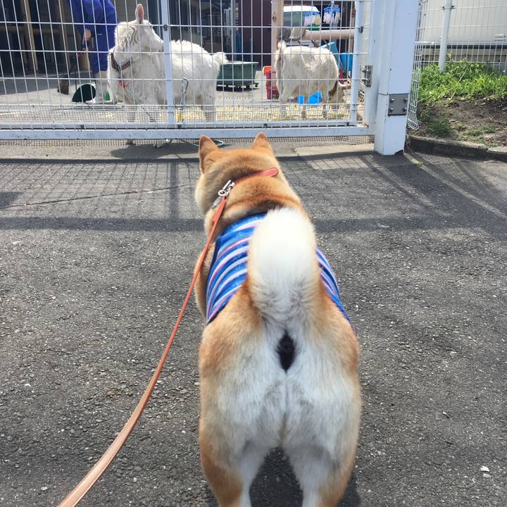 0b58d291 cd65 4786 aa54 d9535086646e 1553488666155