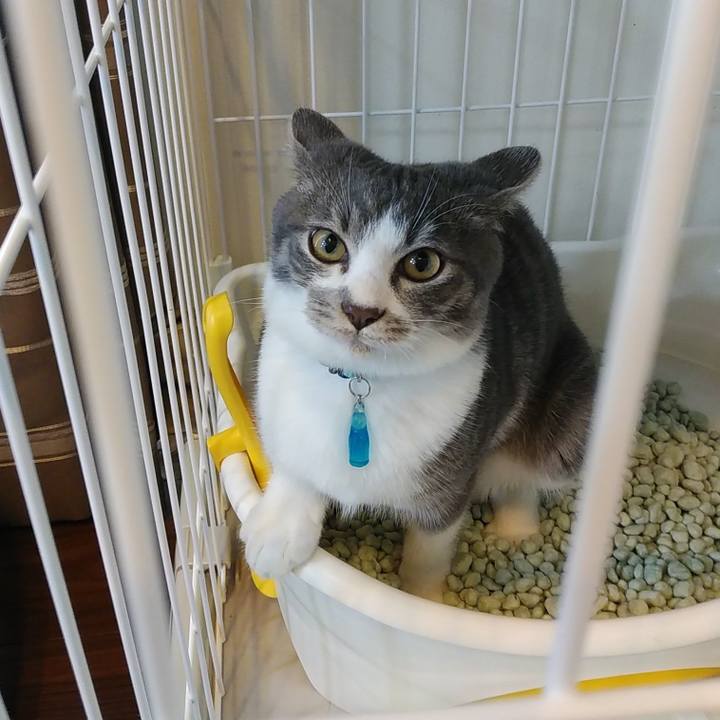 0b58d633 0091 4ae4 9ebd 93391513f6d7 1568417164980