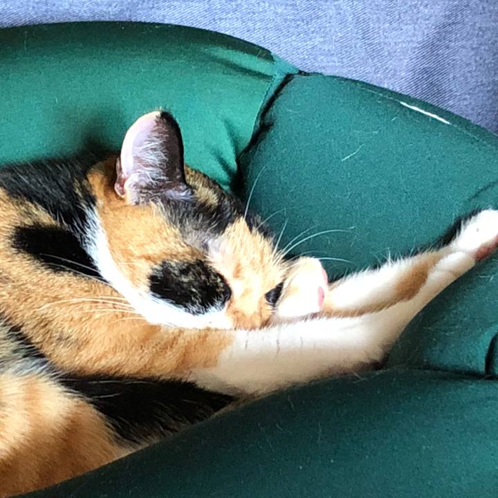 0b58dd35 1e18 495e 921c fb844e84c2d3 1538089356449