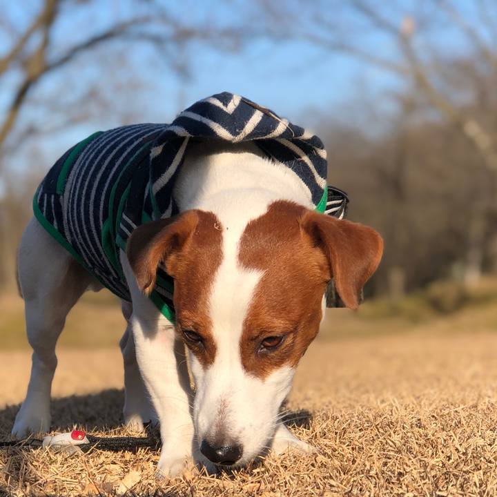 0b58ebe6 ee4c 4633 ad6b a3c8375f6c0a 1549352950797