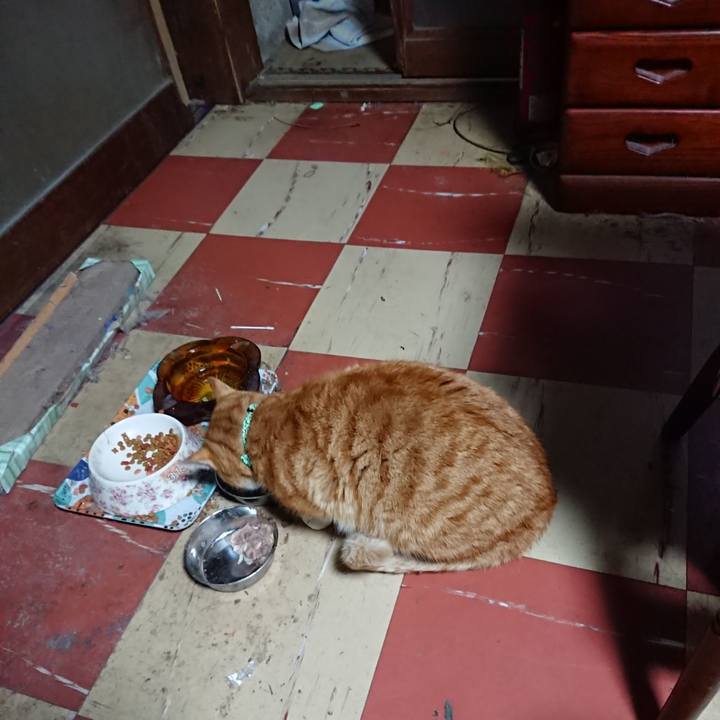 0b590e96 25f4 44f9 9b00 5bb0326b1d4b 1580413999721