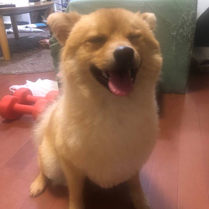 0b5964cb 9667 4134 999a 36dff9bb0bc9 1597587980222