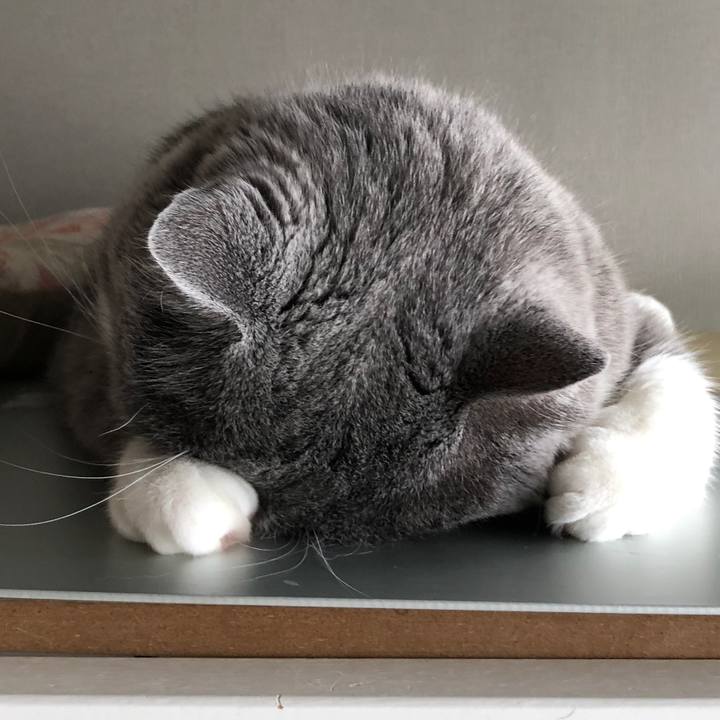 0b596b53 9edb 460c 993a e81fe05eadda 1536419000355