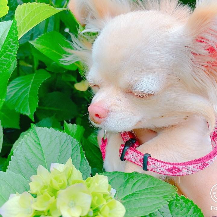 0b597e95 df18 4add b601 759a5c2acba4 1621500954898