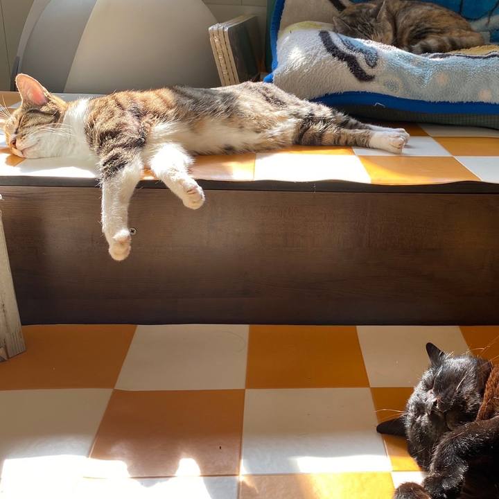 0b59ba07 70c7 4cc7 b5f8 a7d50e99f8c7 1698975180838