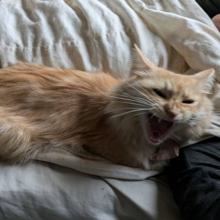 0b59d339 16e7 4b94 b4eb aa3d147a7bd2 1728429977624