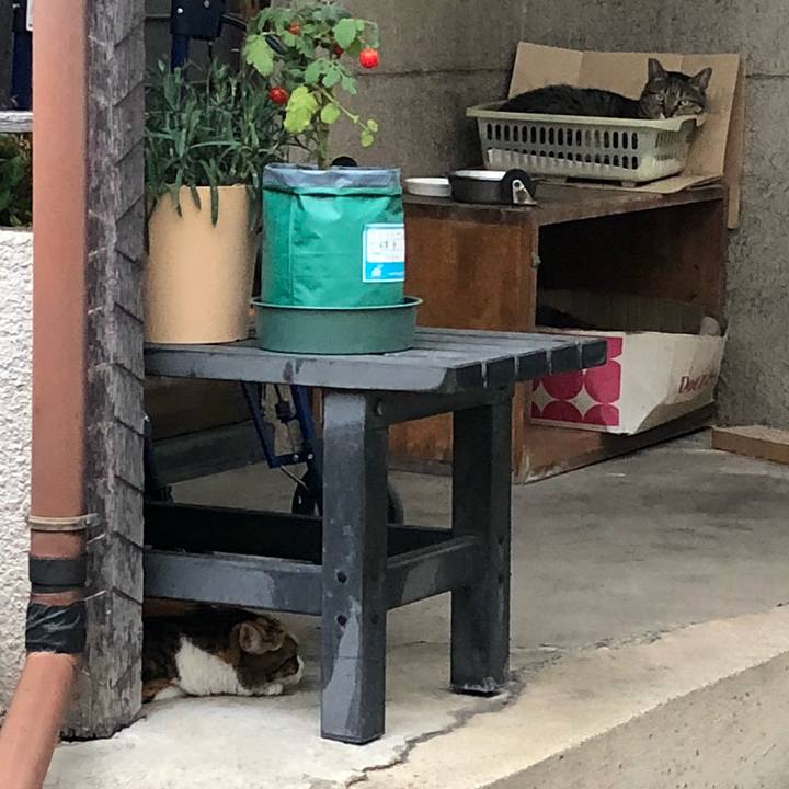 0b5a069f 6605 4c65 96f3 599d3f2ea9dd 1536072722619