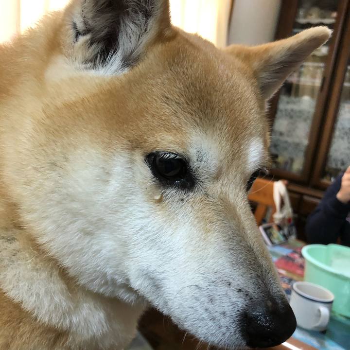 0b5aae0c c34b 43d5 a56b 2bf81289274a 1586786774075