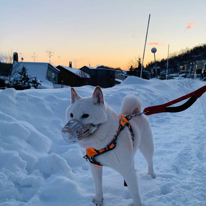 0b5adb3e a9ce 4743 92f6 8eb71d42f428 1671410519559