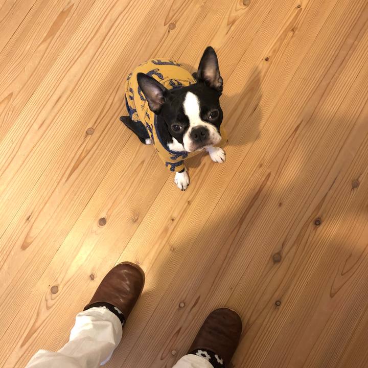 0b5b305e 3fbe 40c3 9c6f 1a760ade15bd 1518243021115