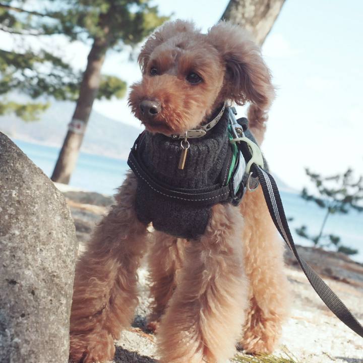 0b5b33af 20bf 439c aa5a 6c556cdfe2df 1518438313247