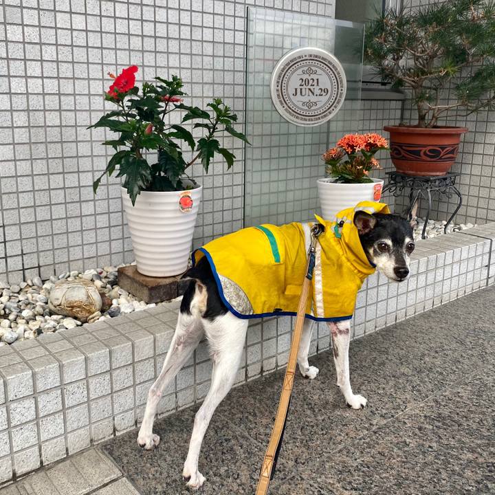 0b5b3e2b e941 4635 b08e 3afb4caa901f 1624918575609