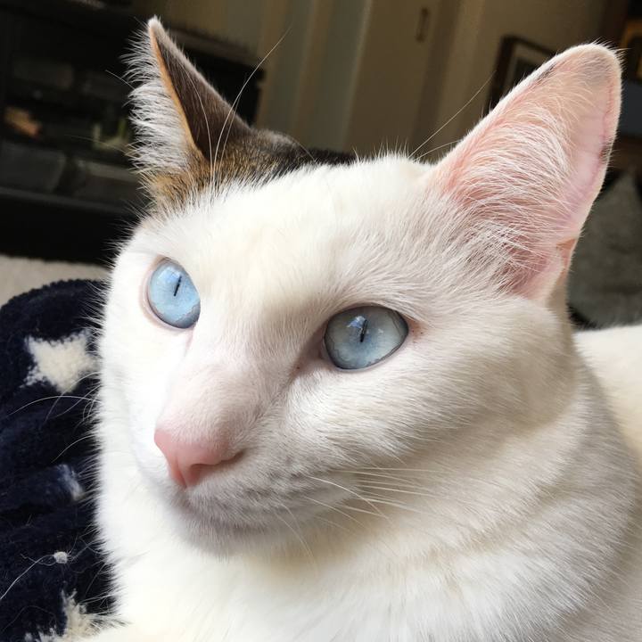 0b5b4698 aede 4363 af2f 6e3e8ac3e624 1518252434549