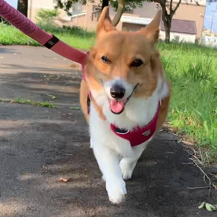 0b5b5e08 24b6 44bc bcda ab0442f202c8 1686092414400