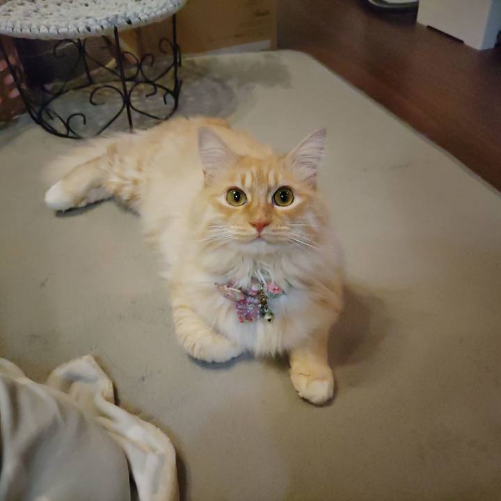 0b5b64ee 199c 4d0e b171 bb51312b4daa 1671018338779