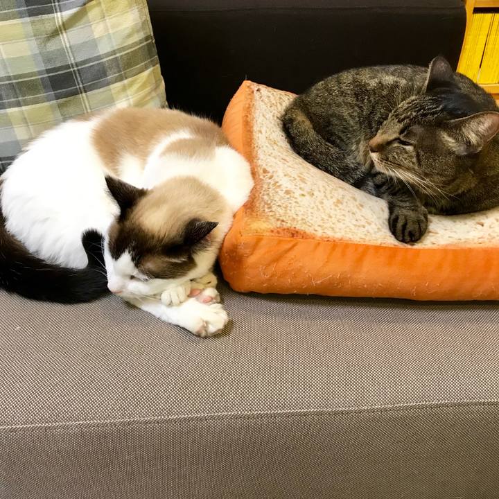 0b5b7f36 0d34 4a91 a143 c77c022ceabf 1542807495458