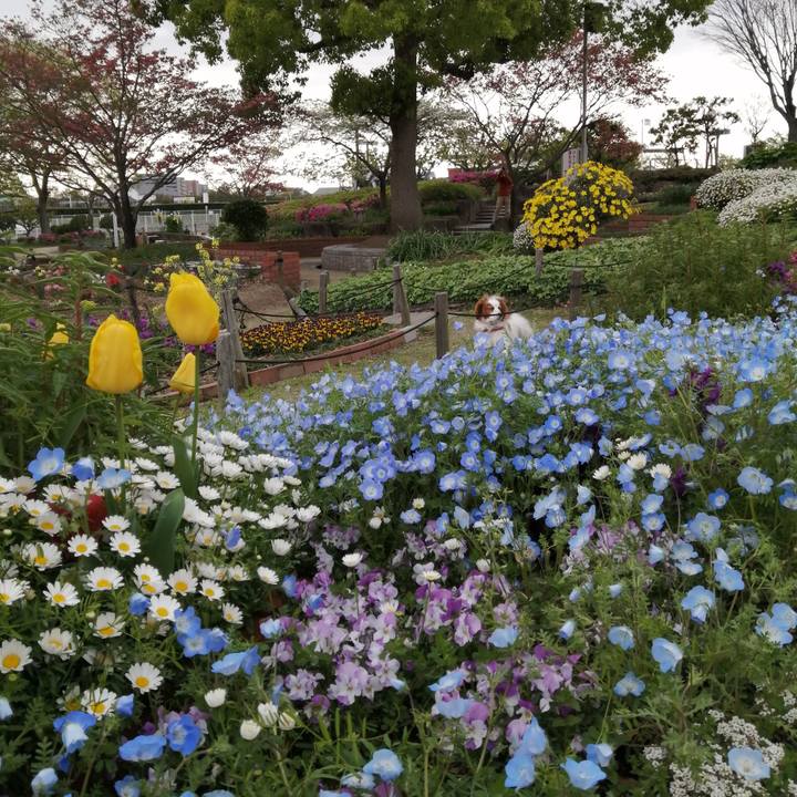 0b5b8ef8 33f7 4125 8f49 cb9fb510a79d 1587545218016