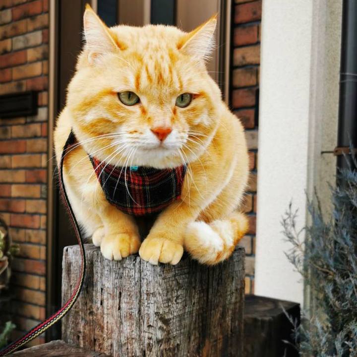 0b5b9af9 85f7 4360 8c42 1b0c425e2274 1612681902263