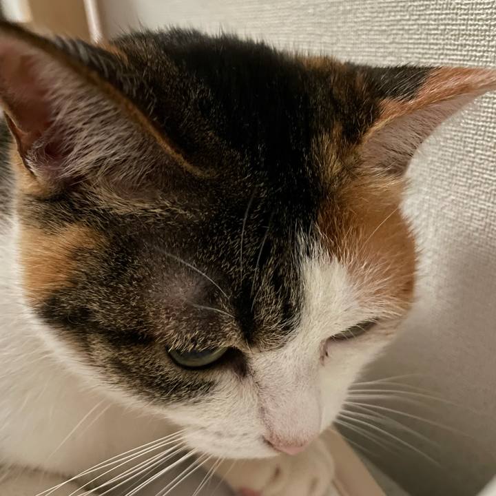 0b5bdc4f 894a 48bd bf7c 804a5ebe4bb7 1679906533320