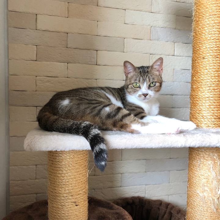 0b5bdd7a ffb6 4ed1 8e99 3545b5e7afb6 1593397701487