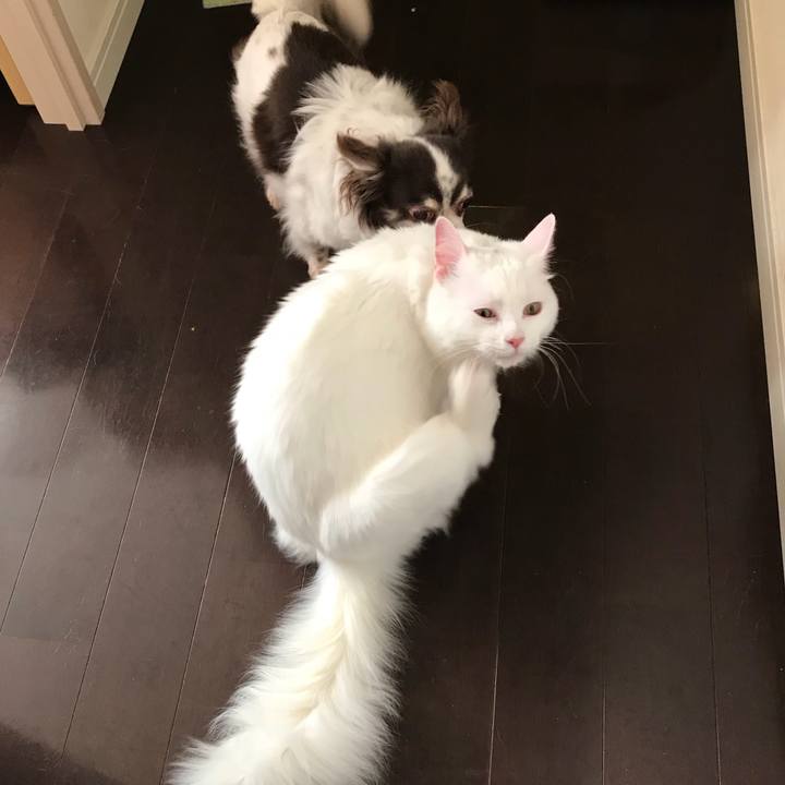 0b5be2d9 1dfb 457c 8d58 2129e067ce5c 1526873680090