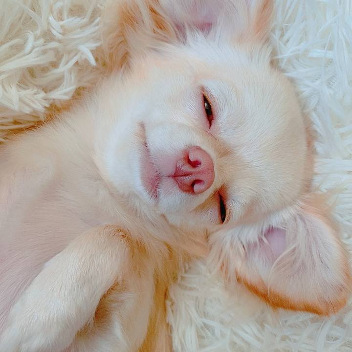 0b5be706 806b 4607 a4bc 5e14d0f40d41 1626785059355