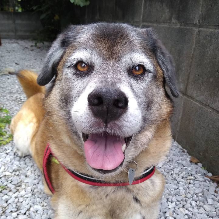 0b5bef8f e4ed 46dc b74b 7f6af2575e8f 1563928010126