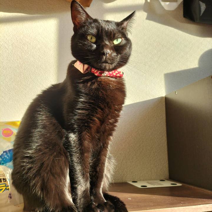 0b5bff09 b4ba 4684 83f6 6f30bbdff816 1642291800536