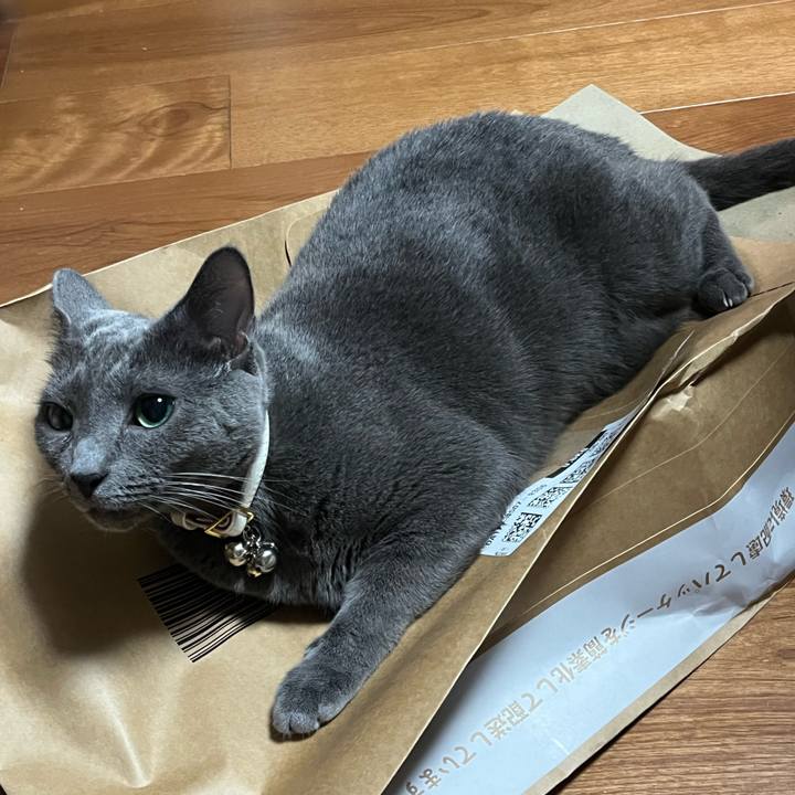 0b5bfff0 fc28 495e 92bc 208cc89674af 1693975749091