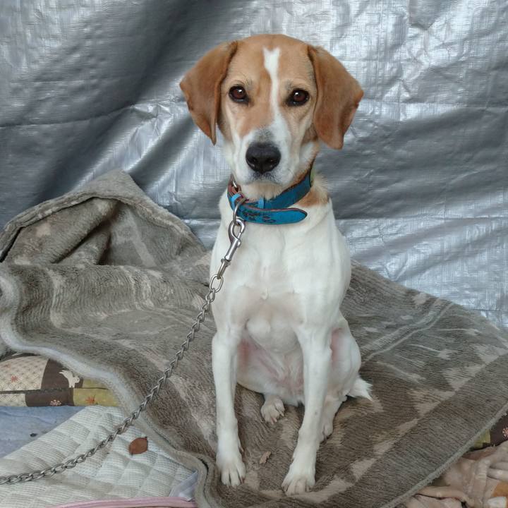 0b5c3133 2df9 4dea 90c3 763b616c560c 1613199846405