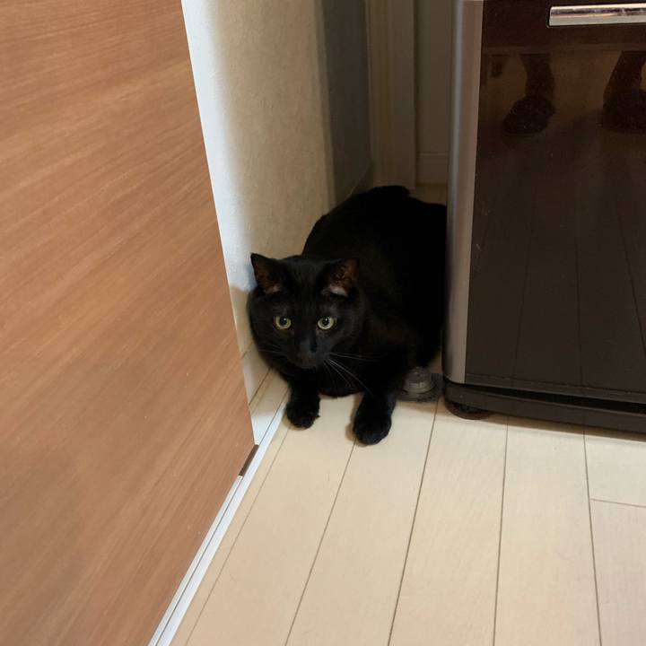 0b5c495d 70ea 4018 abe6 f5fbcbcc029a 1599954337260