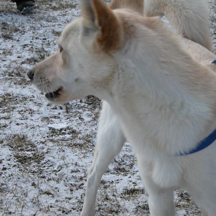 0b5c4f5e 67d8 4904 802b bf79dab2aee1 1511184395302