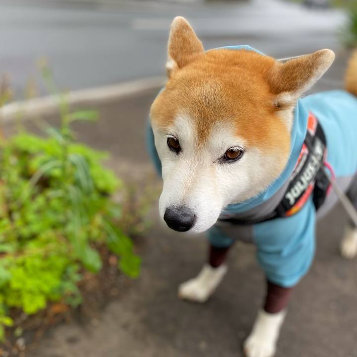 0b5c5223 5e36 45d9 ba4a 2fa1d9a7a3fc 1658278714285