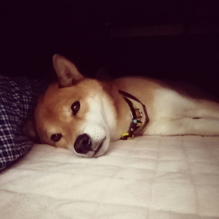 0b5c75ea 56f4 4099 8bb6 9217a5a6392a 1607603751960