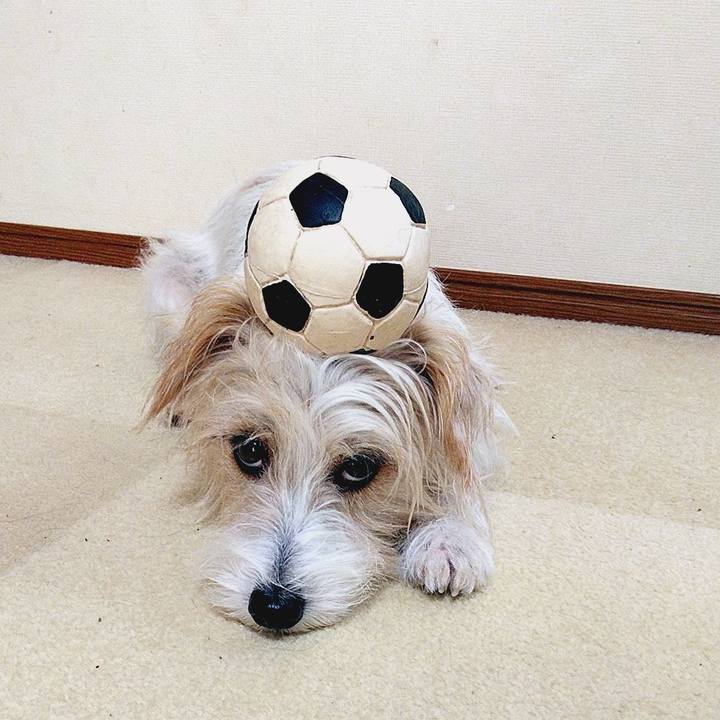 0b5cb877 e698 49be 9975 4844ac237a2d 1569741563908