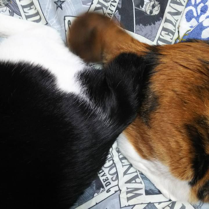 0b5cbfa3 a78e 4bdb 80f3 4d7b2dde270c 1530398545984