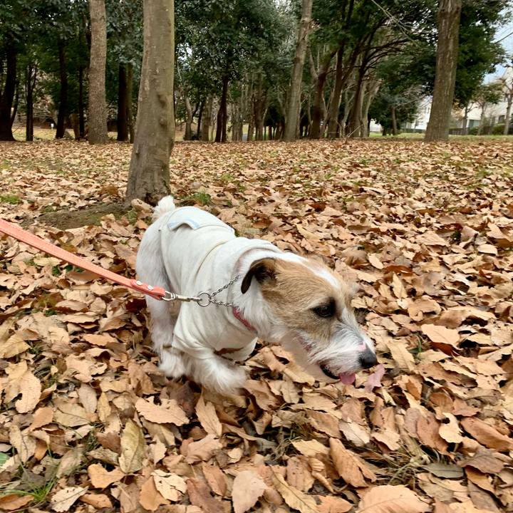 0b5cd859 4420 4ea5 a5f5 4804a1a3243e 1609921943786