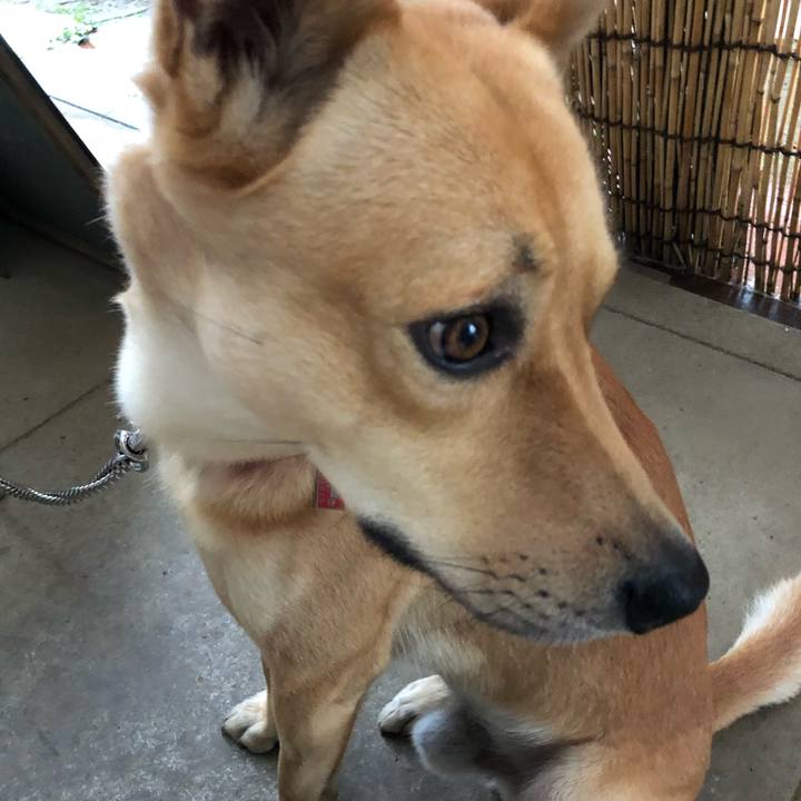 0b5ce90c 210c 4f55 9d59 948a982afd48 1544359017897