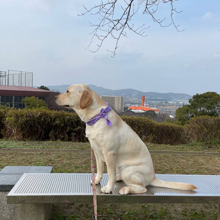 0b5d1643 2879 48a8 907b 02ec79065f94 1641995006513