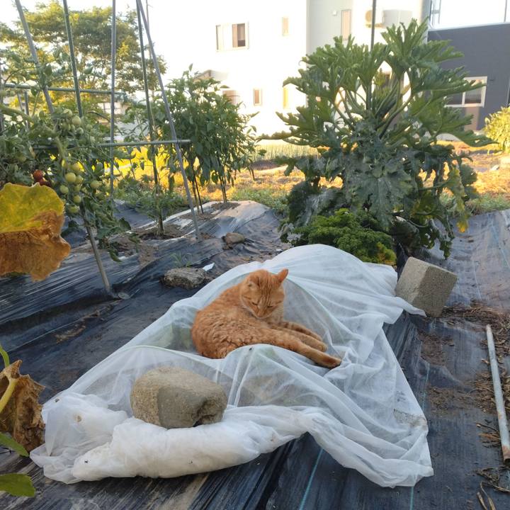 0b5d2caa 50df 40d6 93ce 1290b255f2cf 1753134313623