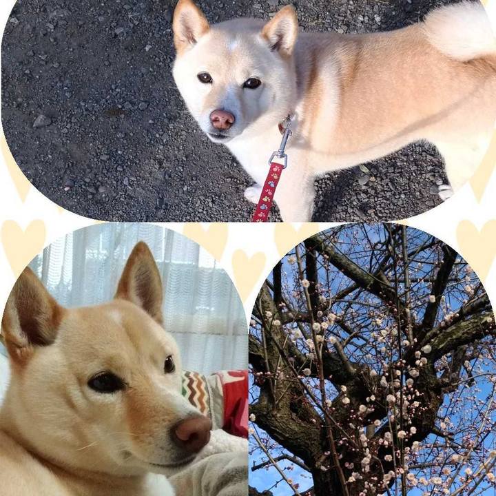 0b5d4f06 9e48 442a 8ef3 010a83e4e65a 1613361718292