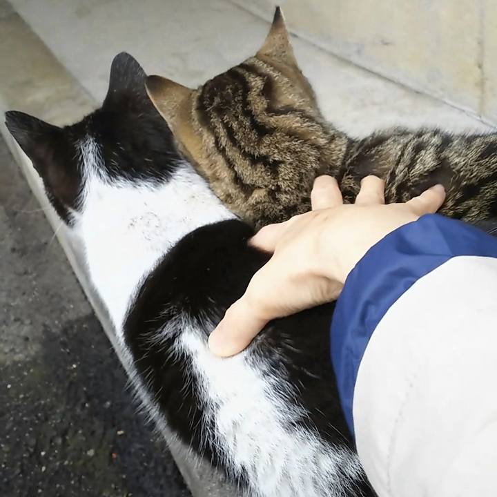 0b5d6363 19a4 4280 b4c5 84850f1e6beb 1555596827745