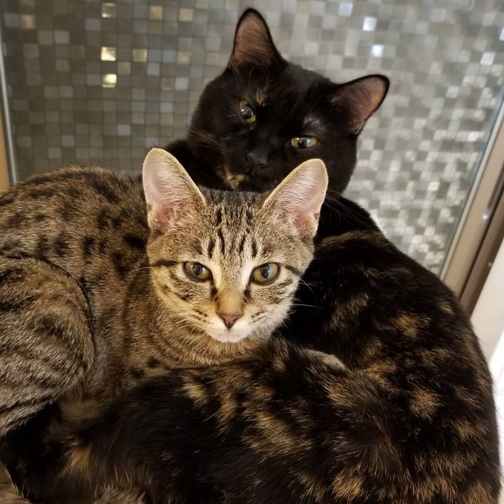 0b5d7e14 3254 44e8 b3c8 de288553074e 1541066478632